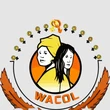 WACOL intensifies campaign against domestic violence in Abia