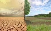 Climate emergency: Nigeria’s biodiversity facing existential threat – Experts