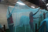 ACOMIN harps on community-led monitoring to tame malaria in Ogun