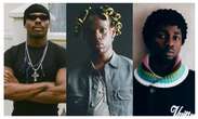 Asake, Rema, Omah Lay others to headline Promise Land Festival