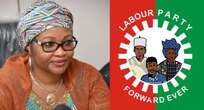 Kaduna LG chapter hails Nenadi Usman’s appointment as LP caretaker chairperson