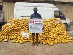 NDLEA intercepts 31 million pills, bottles of opioids worth N17.9bn at Lagos, Port Harcourt ports