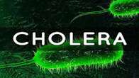 Benue: Panic as suspected cholera outbreak kills 11 in 4 days, others critically ill