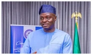 APC primaries: We did not impose a single candidate – Yilwatda