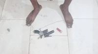 Suspected cultist arrested with firearm as Imo police intensify action against cultism 