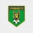 NLO: Cynosure FC banned, fined for fielding professional players
