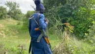 Terrorists, criminals now hiding – Arewa youths speak on military operations