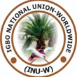 Supporting Palestine at UN while Nigeria burns hypocritical – Igbo group to Tinubu, Shettima
