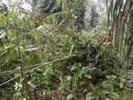 Rivers businessman laments as NAF destroys factory mistaken for illegal refinery