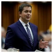 Three churches destroyed daily: Canadian lawmaker raises alarm on persecution of Christians in Nigeria