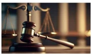 BREAKING: Sowore, Nnamdi Kanu’s brother, lawyer granted bail