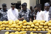 387 blocks of suspected cannabis found in vehicle after Bauchi road accident