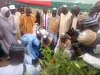 Jigawa Assembly warns against illegal cutting down of trees