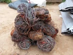 Police arrest suspected stolen goods dealer in Akwa Ibom, recover items