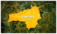 DSS, Army rescue kidnapped Catholic priest, 32 others in Borno, Zamfara