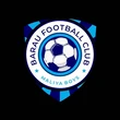 NPFL: Barau FC sign Ambrose, Okoko Jr