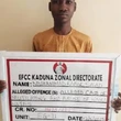 EFCC arrests Kaduna-based content creator for Naira abuse