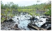 B-Dere oil spill: Environmental activists demand swift intervention