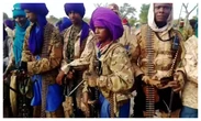Lakurawa terrorists invade Sokoto village, burn houses, rustle livestock