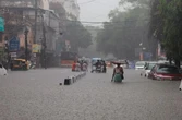 Heavy rain kills 14 in India