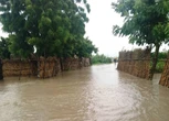 21 dead, 50 houses washed away as flood ravages Niger communities