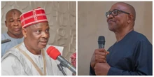Kwankwaso more accommodating than Peter Obi – Buhari’s ex-aide