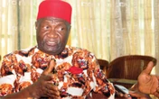 Nigeria heading for collapse without true federalism, may not survive beyond 2027 – Nnia Nwodo