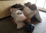 NDLEA seizes 646kg hard drugs, arrests 60 in Imo