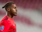 Arsenal set to bring Nuno Tavares to Emirates