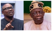 2027: ACF knocks Peter Obi’s one-term promise, Tinubu ‘shambolic’ performance 