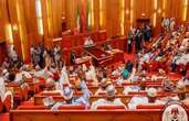 Nigerian senators clash over regional government proposal