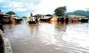 Flood kills 29, destroys 321,000 houses, 858,000 hectares of farmlands in Kebbi