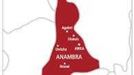 Truck rams into motor park, injures four in Anambra