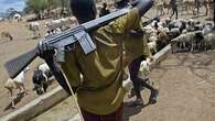 Herdsmen invade Benue community, kill 13