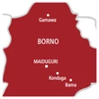 ISWAP fighter surrenders, hands over gun to troops in Borno