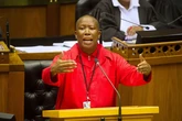 Malema calls for a single African president, currency and military