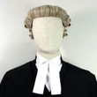 Abuse of ex parte orders: Lawyer demands sanctions against errant judges