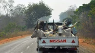 Edo community in fear after gunmen attack herders, steal cattle