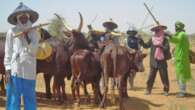 Proscribed Fulani vigilante group returns uniforms, infantry lanyards, others to police in Nasarawa