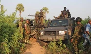 Troops neutralise suspected terrorist in Kogi, recover weapons
