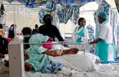 Cholera outbreak claims seven lives, 71 others hospitalized in Adamawa