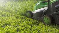 Best electric lawn mowers of 2024