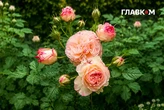 Україну накриють грози з градом: погода на 8 червня 2026 року