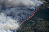 В Іспанії оголошено надзвичайну ситуацію через лісові пожежі