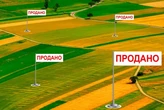 Ціни стрімко зросли. Як змінилася вартість гектара за час роботи ринку землі