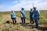 Міжнародна організація зупинила розмінування в Україні через загибель своїх співробітників