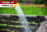Посівний календар на червень 2026: час активного догляду, повторних посівів та боротьби за майбутній врожай
