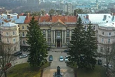 У Львові акушерка постала перед судом через бійку з колегою у пологовій залі