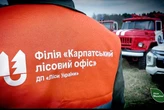 «Ліси України» вигнали з роботи 80 прибиральниць, а потім найняли у хитрий спосіб