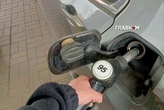 Дизель і газ дорожчали: ціни на АЗС 20 червня 2026 року